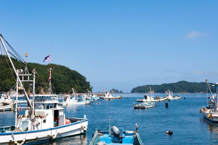 釣り 宮城