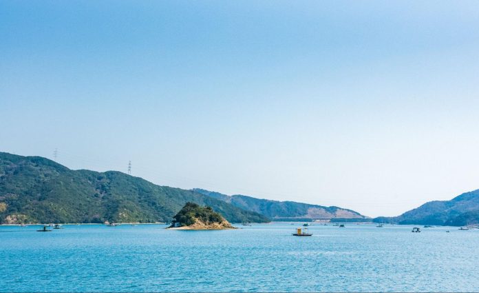 釣り 徳島