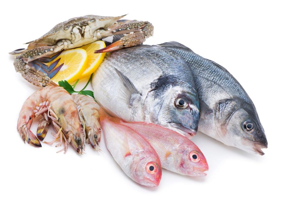 徳島 季節ごと 釣れる 魚