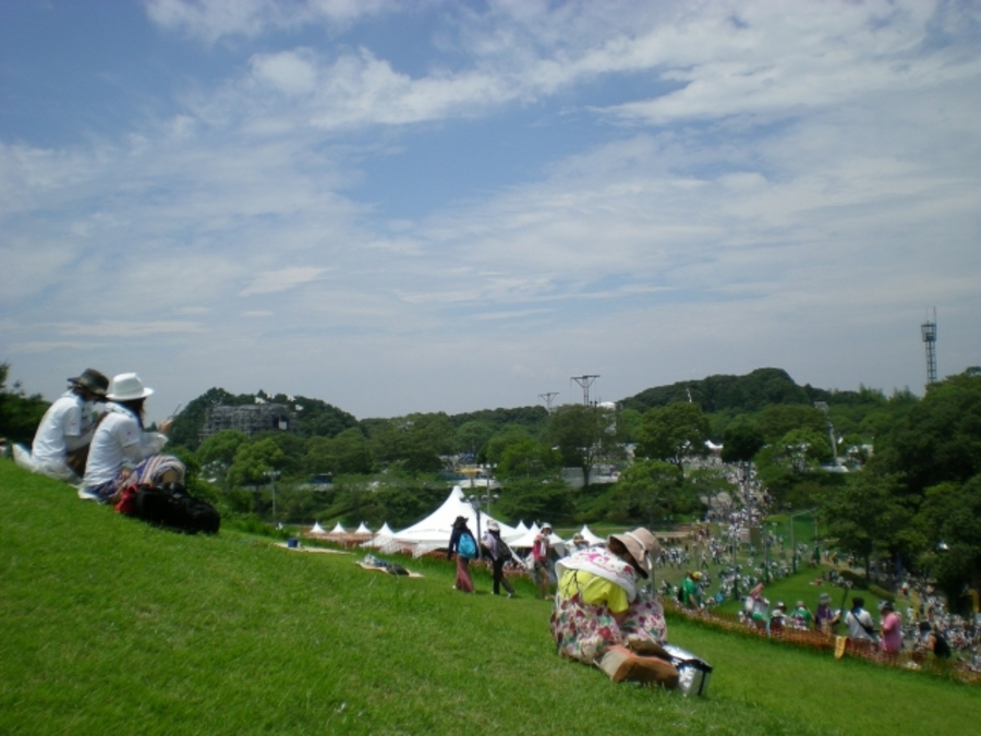 2025 全国 開催 ロックフェス