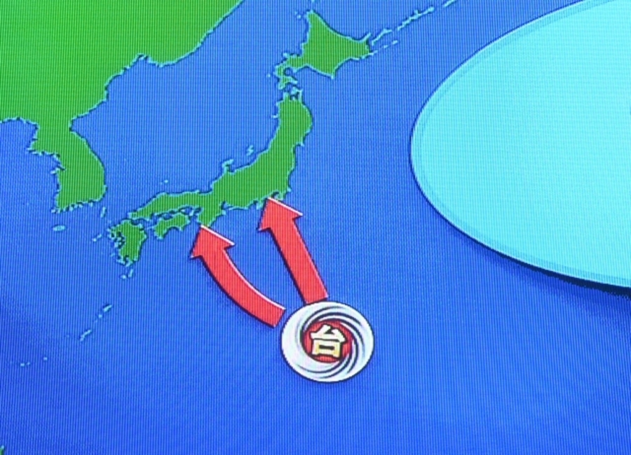 台風　たまご　確認　方法