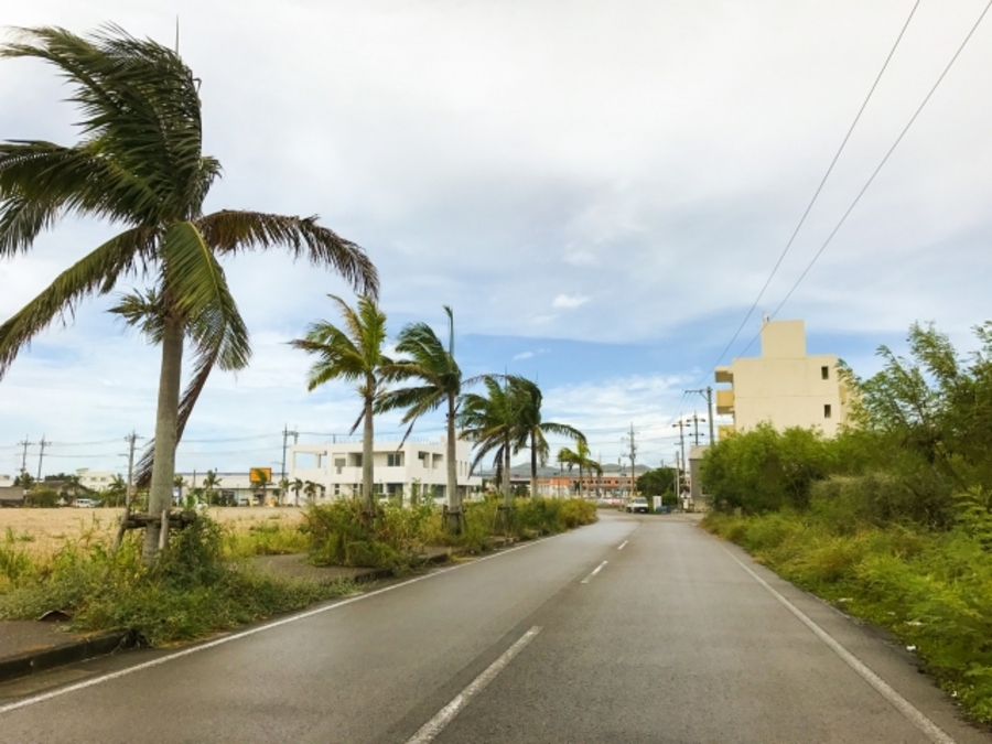 台風　たまご　解説