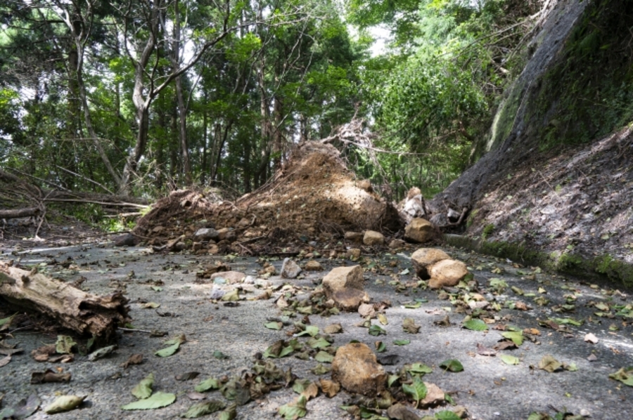 最近 集中豪雨 被害事例
