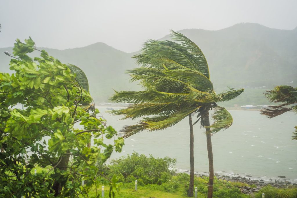 台風 少ない 質問