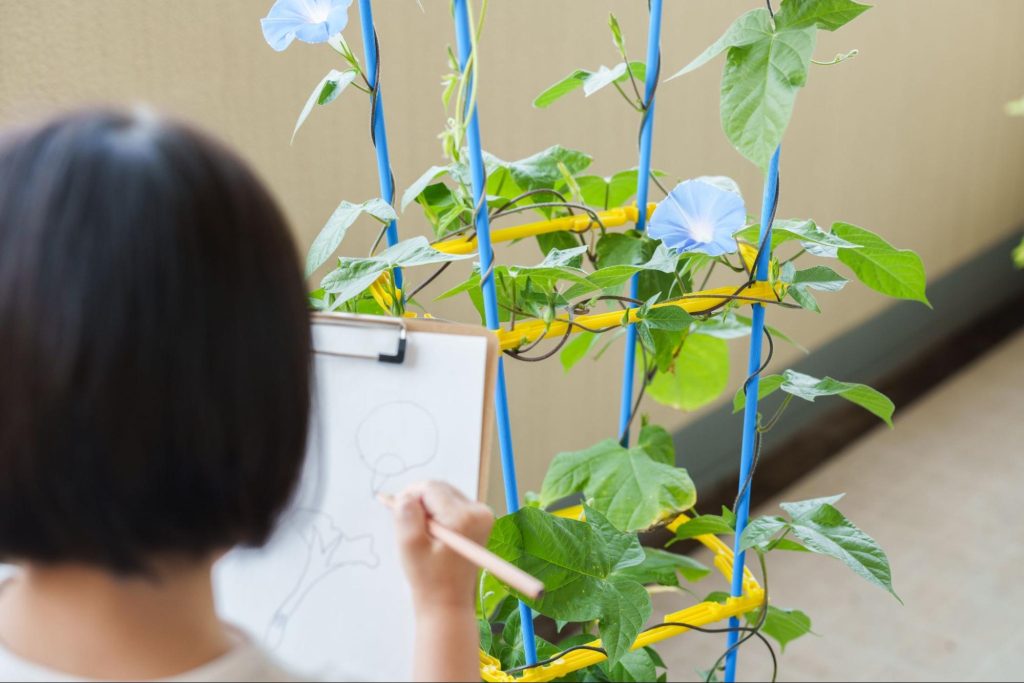 夏休み 自由研究 おすすめ テーマ例