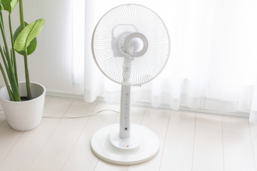 体感温度 下げる 対策