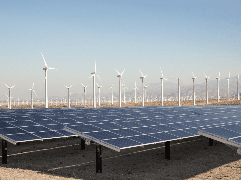 solar panels and wind turbines in California