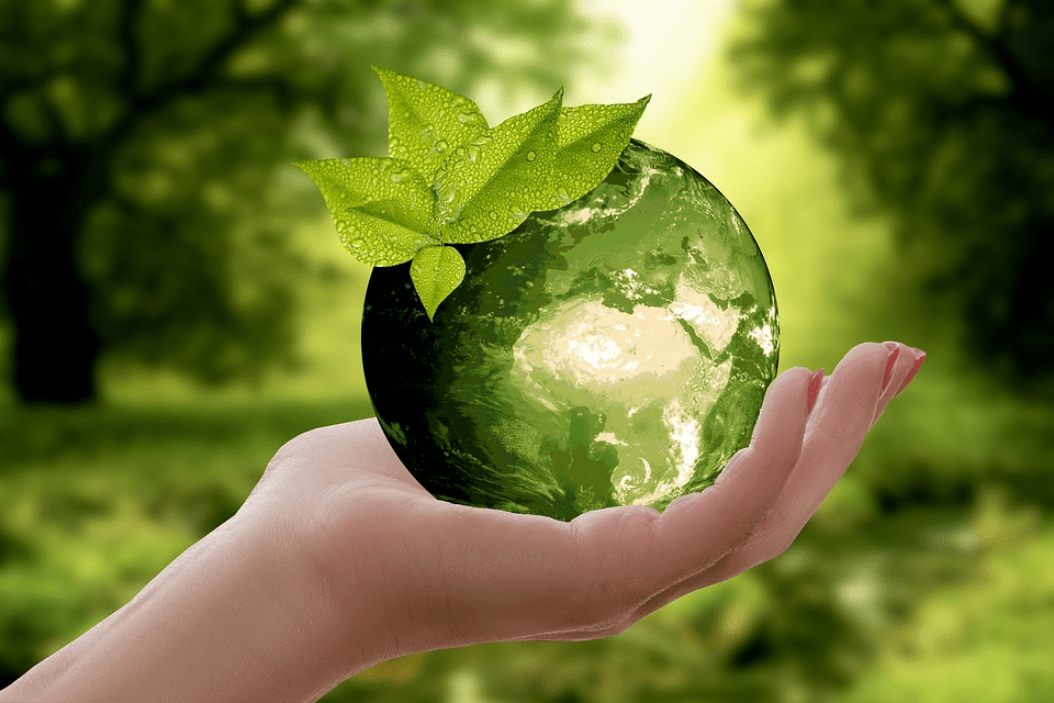 Natural environment - Sustainability