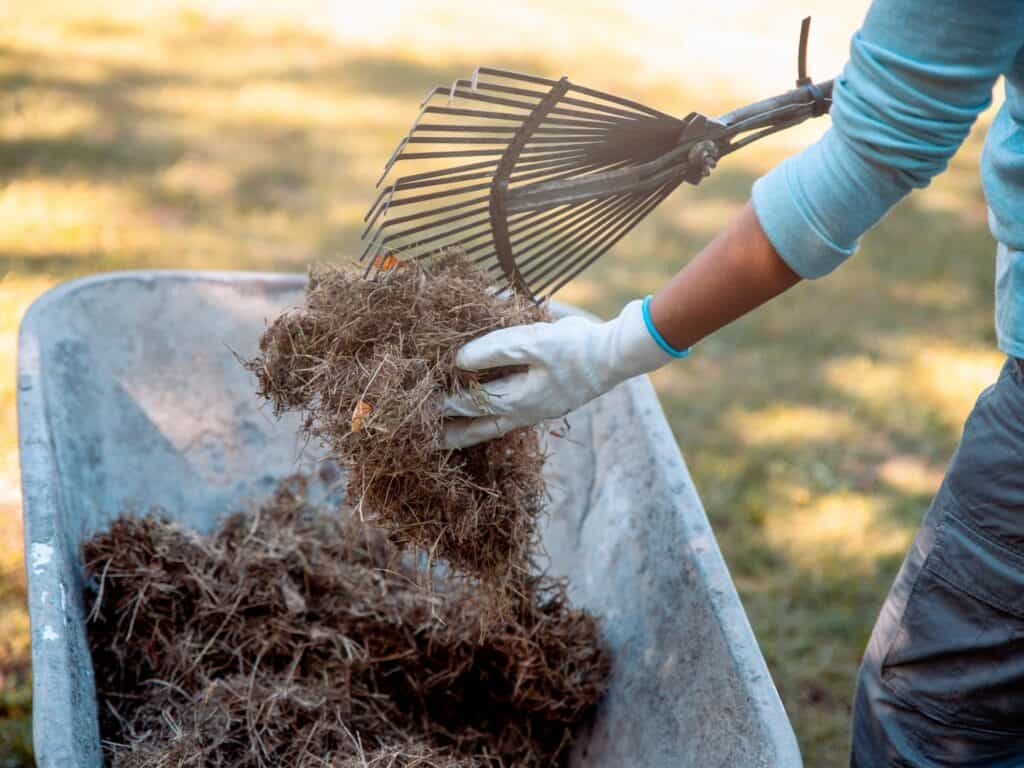 What To Do With Grass Clippings A Comprehensive Guide EcoFlow US Blog