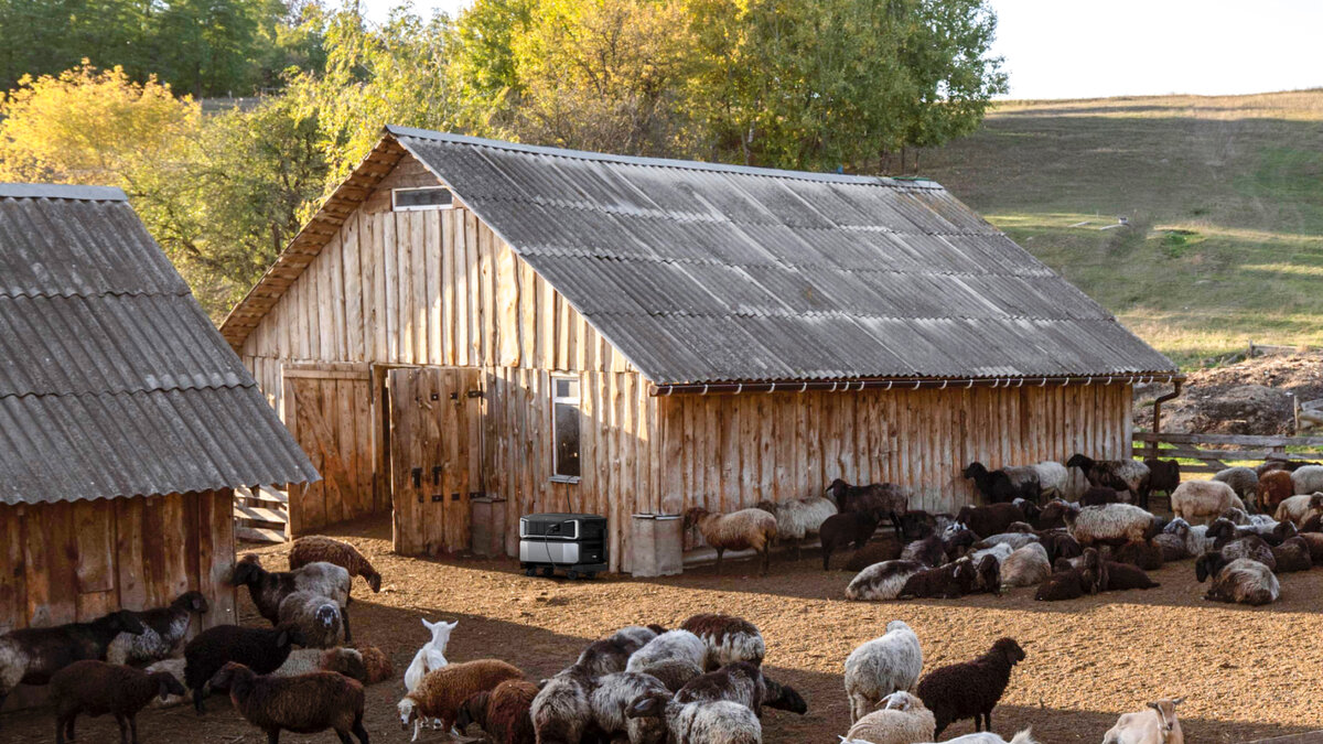 What is Homesteading? - EcoFlow US Blog